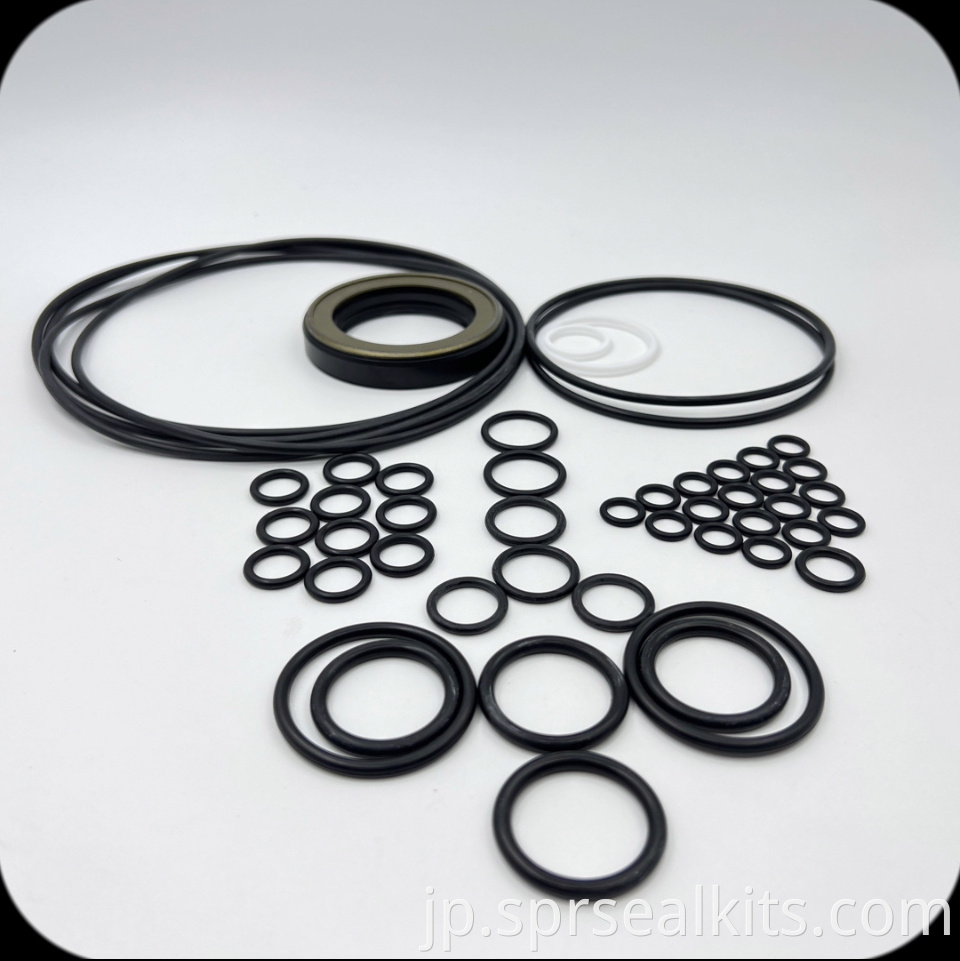 21 Hydraulic Pump Seal Kit